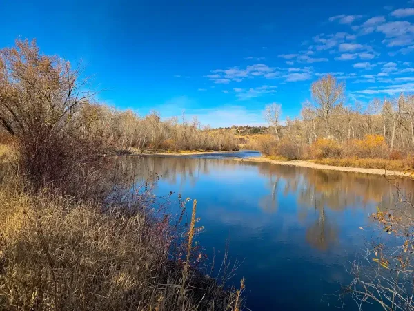 Middleton Idaho Middleton-Idaho - Beeline Pest Control