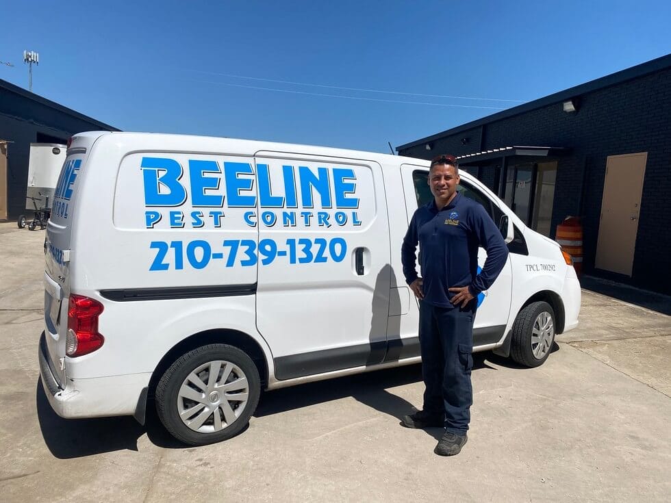 Beeline Pest Control