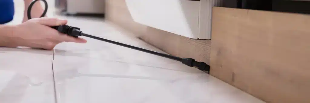 professional cockroach control