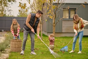 Yard Maintenance for Ants