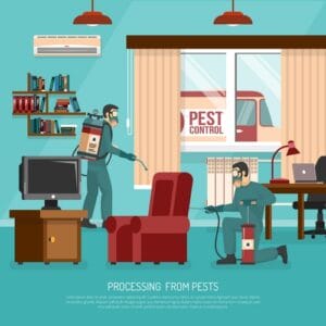 Professional interior pest control service team at work spraying insecticide in living room flat poster vector illustration