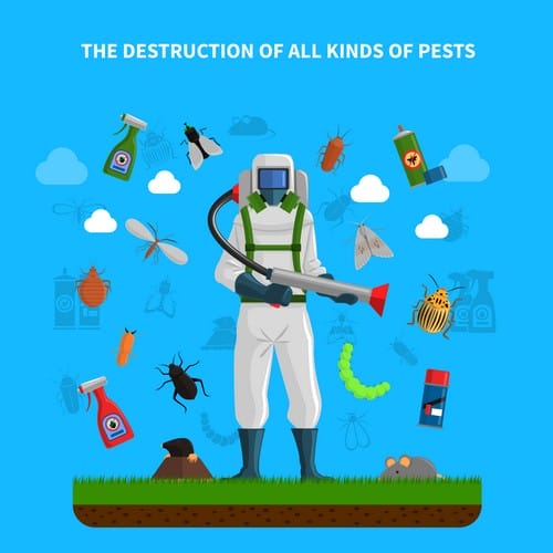 spider 32 Pest control concept with insects exterminator silhouette flat vector illustration