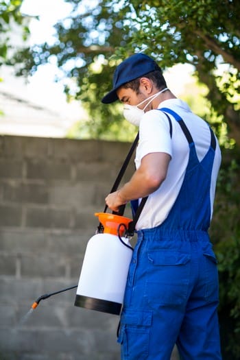 Rear view of spraying in back yard against wall