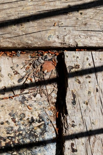 wood-texture-background