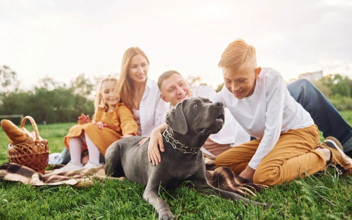 laying-down-ground-with-dog-family laying-down-ground-with-dog-family