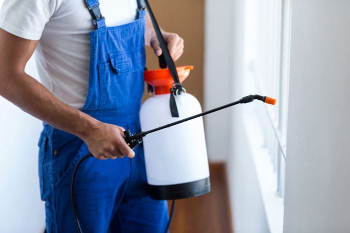 midsection-pest-control-worker-with-sprayer